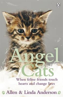 Angel Cats -  Allen Anderson,  Linda Anderson
