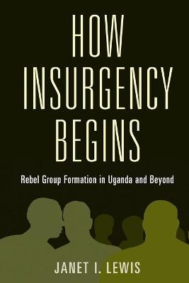 How Insurgency Begins - Janet I. Lewis