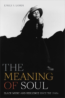 The Meaning of Soul - Emily J. Lordi