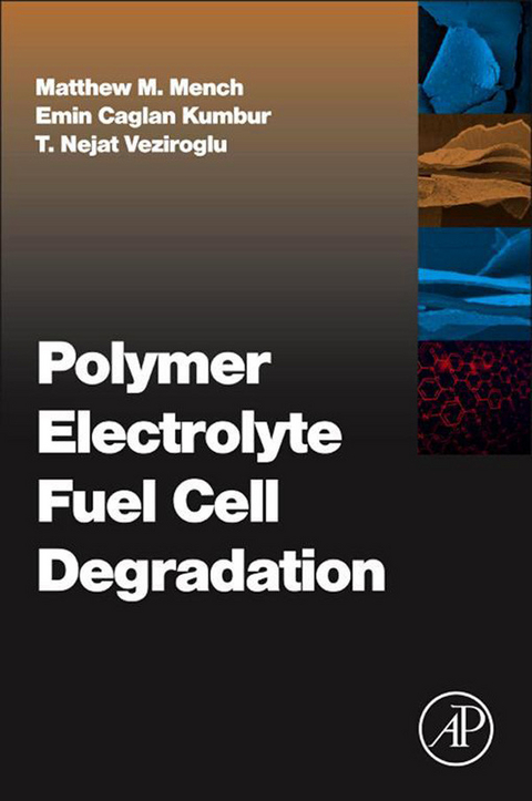 Polymer Electrolyte Fuel Cell Degradation - 