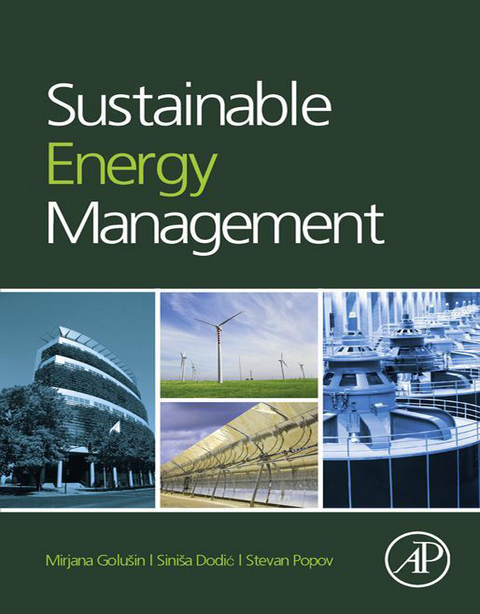 Sustainable Energy Management -  Sinisa Dodic,  Stevan Popov,  Mirjana Radovanovic