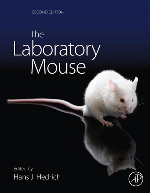 Laboratory Mouse - 