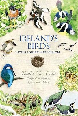 Ireland's Birds - Niall Mac Coitir