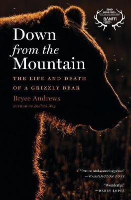 Down from the Mountain - BRYCE ANDREWS