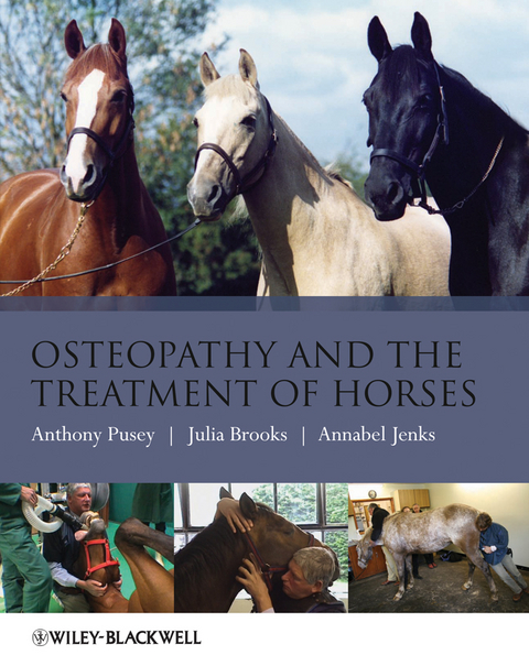 Osteopathy and the Treatment of Horses -  Julia Brooks,  Annabel Jenks,  Anthony Pusey