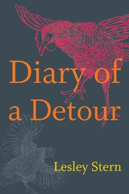 Diary of a Detour - Lesley Stern