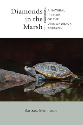 Diamonds in the Marsh - A Natural History of the Diamondback Terrapin - Barbara Brennessel, Bob Prescott