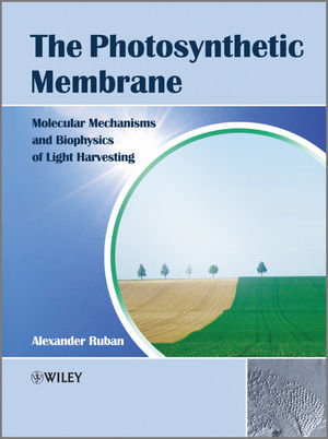 Photosynthetic Membrane -  Alexander V. Ruban