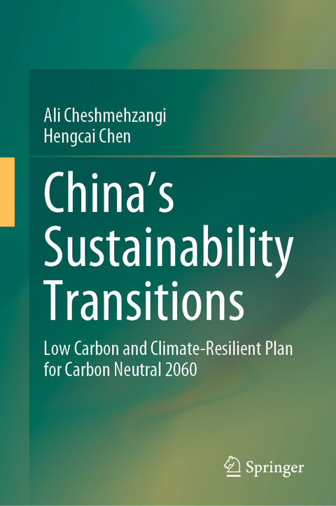 China's Sustainability Transitions - Ali Cheshmehzangi, Hengcai Chen