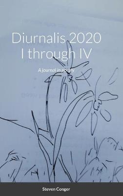 Diurnalis 2020 I through IV - Steven Conger