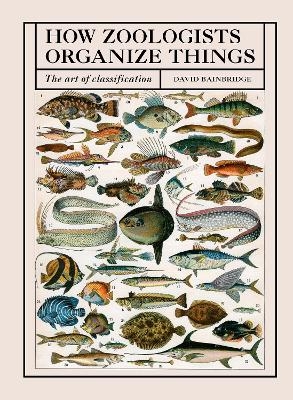 How Zoologists Organize Things - David Bainbridge
