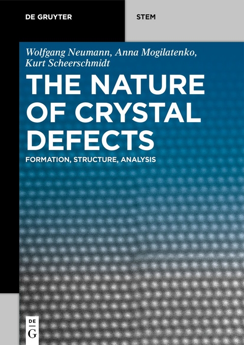 The Nature of Crystal Defects - Wolfgang Neumann, Anna Mogilatenko, Kurt Scheerschmidt