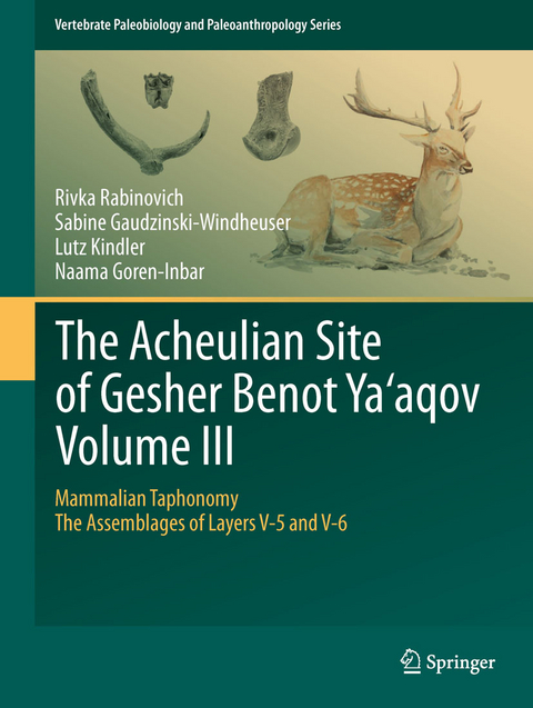 The Acheulian Site of Gesher Benot  Ya‘aqov  Volume III - Rivka Rabinovich, Sabine Gaudzinski-Windheuser, Lutz Kindler, Naama Goren-Inbar