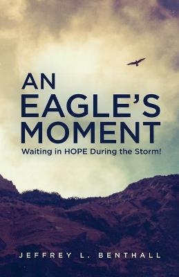 An Eagle's Moment - Jeffrey L Benthall