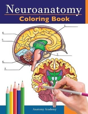 Neuroanatomy Coloring Book - Anatomy Academy