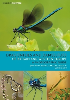Dragonflies and Damselflies of Britain and Western Europe - Jean-Pierre Boudot, Guillaume Doucet, Daniel Grand