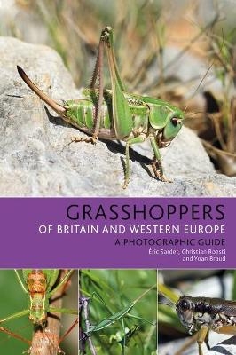 Grasshoppers of Britain and Western Europe - Éric Sardet, Christian Roesti, Yoan Braud