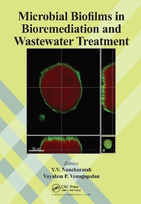 Microbial Biofilms in Bioremediation and Wastewater Treatment - 