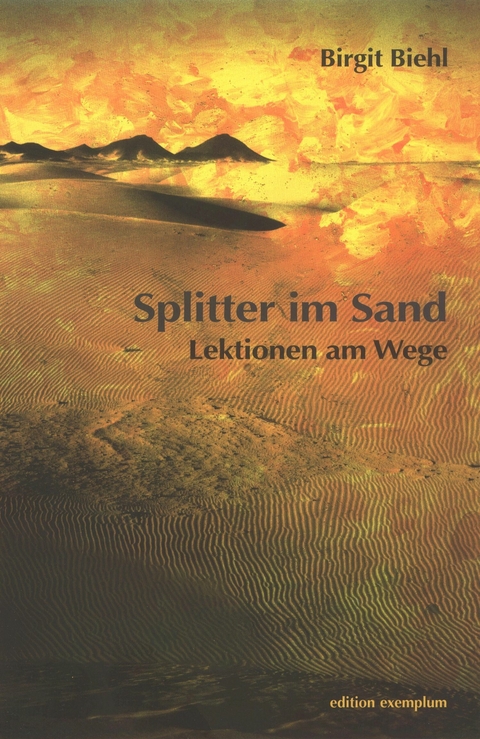 Splitter im Sand - Birgit Biehl