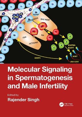 Molecular Signaling in Spermatogenesis and Male Infertility - 