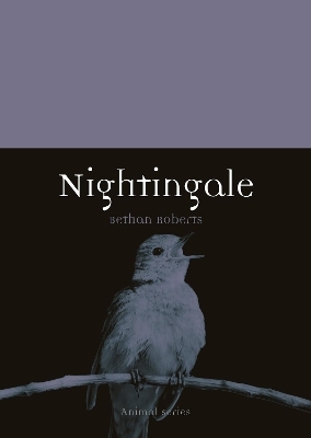Nightingale - Bethan Roberts