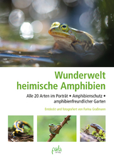 Wunderwelt heimische Amphibien - Farina Graßmann
