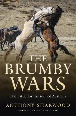 The Brumby Wars - Anthony Sharwood