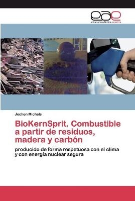 BioKernSprit. Combustible a partir de residuos, madera y carbón - Jochen Michels