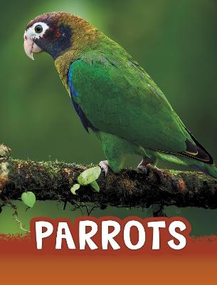 Parrots - Mari Schuh