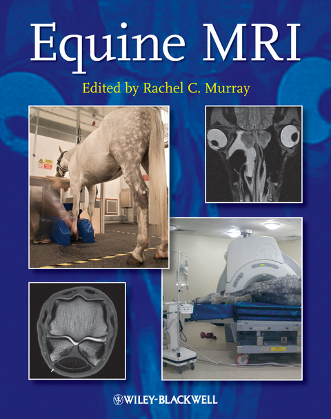 Equine MRI - 