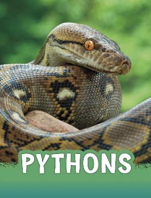 Pythons - Martha E. H. Rustad