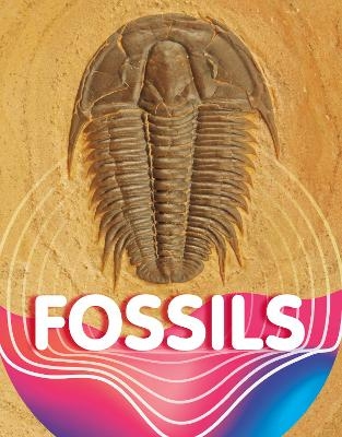 Fossils - Keli Sipperley