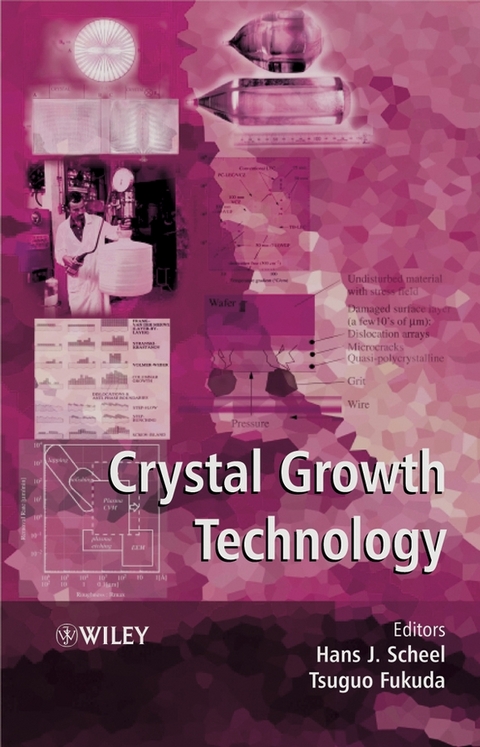 Crystal Growth Technology - Hans J. Scheel, Tsuguo Fukuda