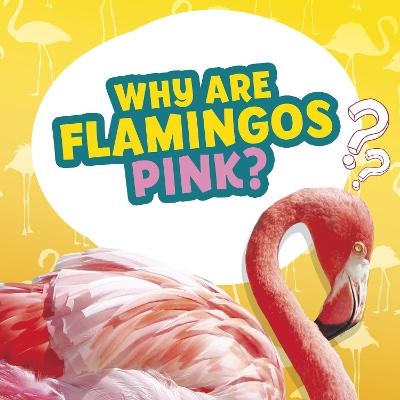 Why Are Flamingos Pink? - Nancy Dickmann