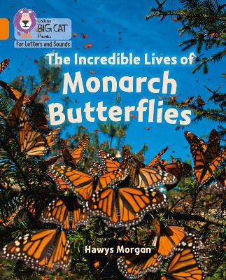 The Incredible Lives of Monarch Butterflies - Hawys Morgan