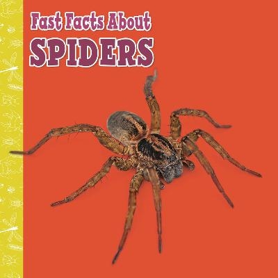 Fast Facts About Spiders - Julia Garstecki-Derkovitz