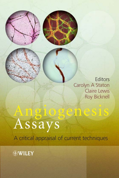 Angiogenesis Assays - 