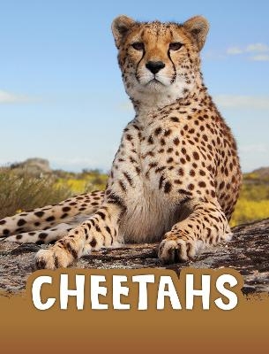 Cheetahs - Jaclyn Jaycox