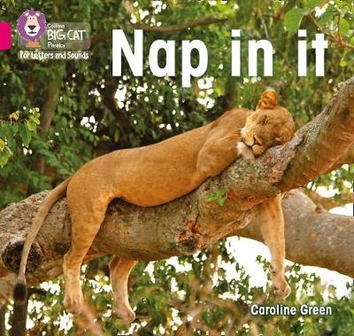 Nap in it - Caroline Green