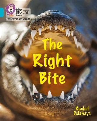 The Right Bite - Rachel Delahaye