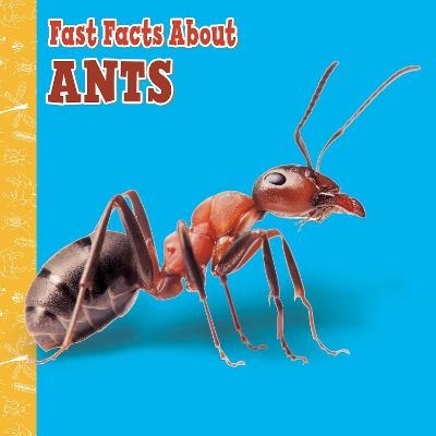 Fast Facts About Ants - Lisa J. Amstutz