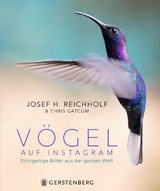 Vögel auf Instagram - 