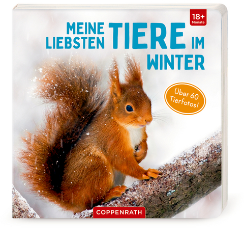 Meine liebsten Tiere im Winter