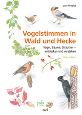 Vogelstimmen in Wald und Hecke - Uwe Westphal