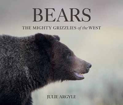 Bears - Julie Argyle