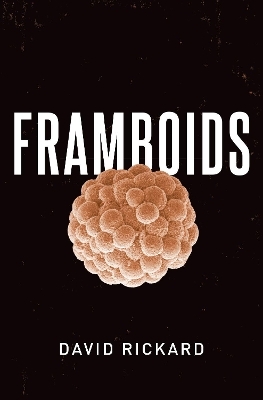 Framboids - David Rickard