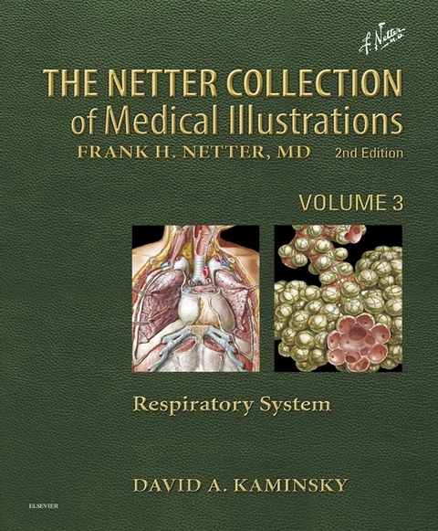 Netter's Respiratory System -  David A. Kaminsky