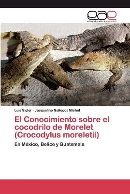 El Conocimiento sobre el cocodrilo de Morelet (Crocodylus moreletii) - Luis Sigler, Jacqueline Gallegos Michel