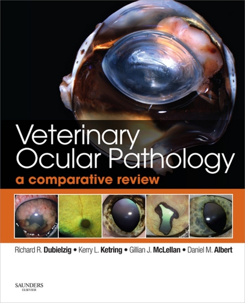 Veterinary Ocular Pathology -  Daniel M. Albert,  Richard R. Dubielzig,  Kerry L. Ketring,  Gillian J McLellan