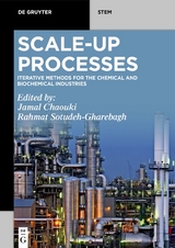 Scale-Up Processes - 